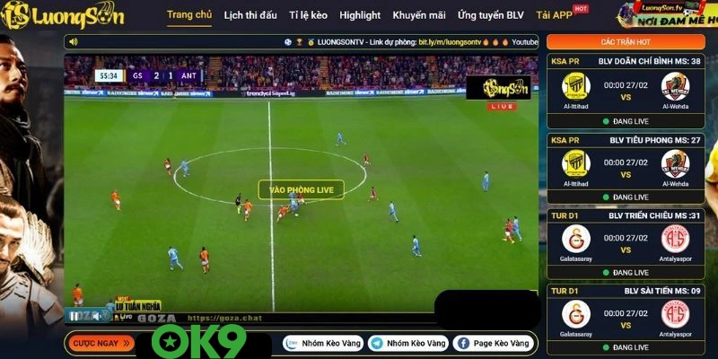 Giới thiệu về luongsontv