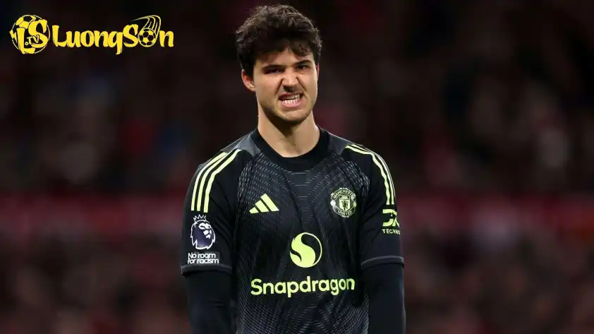 Bản thân thủ thành trẻ người Bỉ cũng rất khiêm tốn trước những lời khen Bản thân thủ thành trẻ người Bỉ cũng rất khiêm tốn trước những lời khen