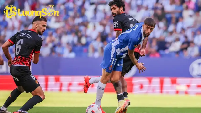 Real Oviedo và Mallorca đều muốn giành chiến thắng ở trận đấu sắp tới. (Ảnh: Internet) Real Oviedo và Mallorca đều muốn giành chiến thắng ở trận đấu sắp tới. (Ảnh: Internet)